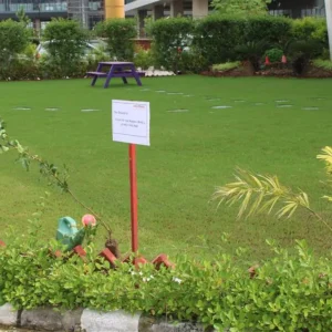 SaveClip.App_539755392_17894180883296364_4323183938021834483_n