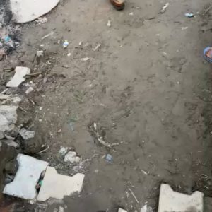 SaveClip.App_548018000_17896571127296364_4990476599695429852_n