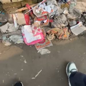 SaveClip.App_549210910_17896571073296364_8300213077689959491_n